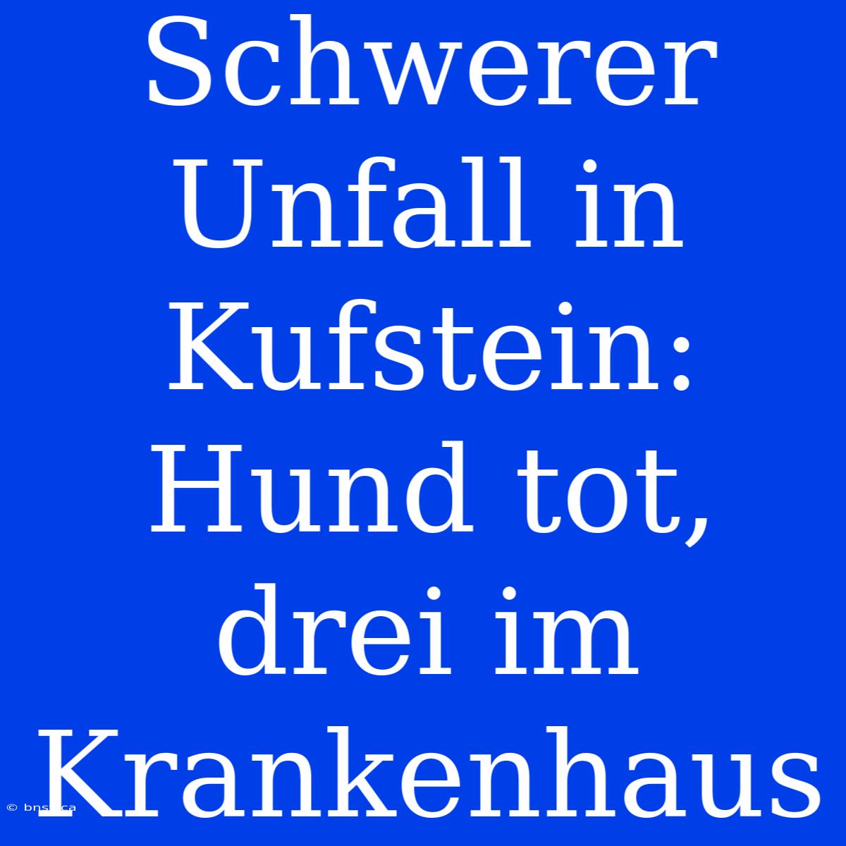 Schwerer Unfall In Kufstein: Hund Tot, Drei Im Krankenhaus