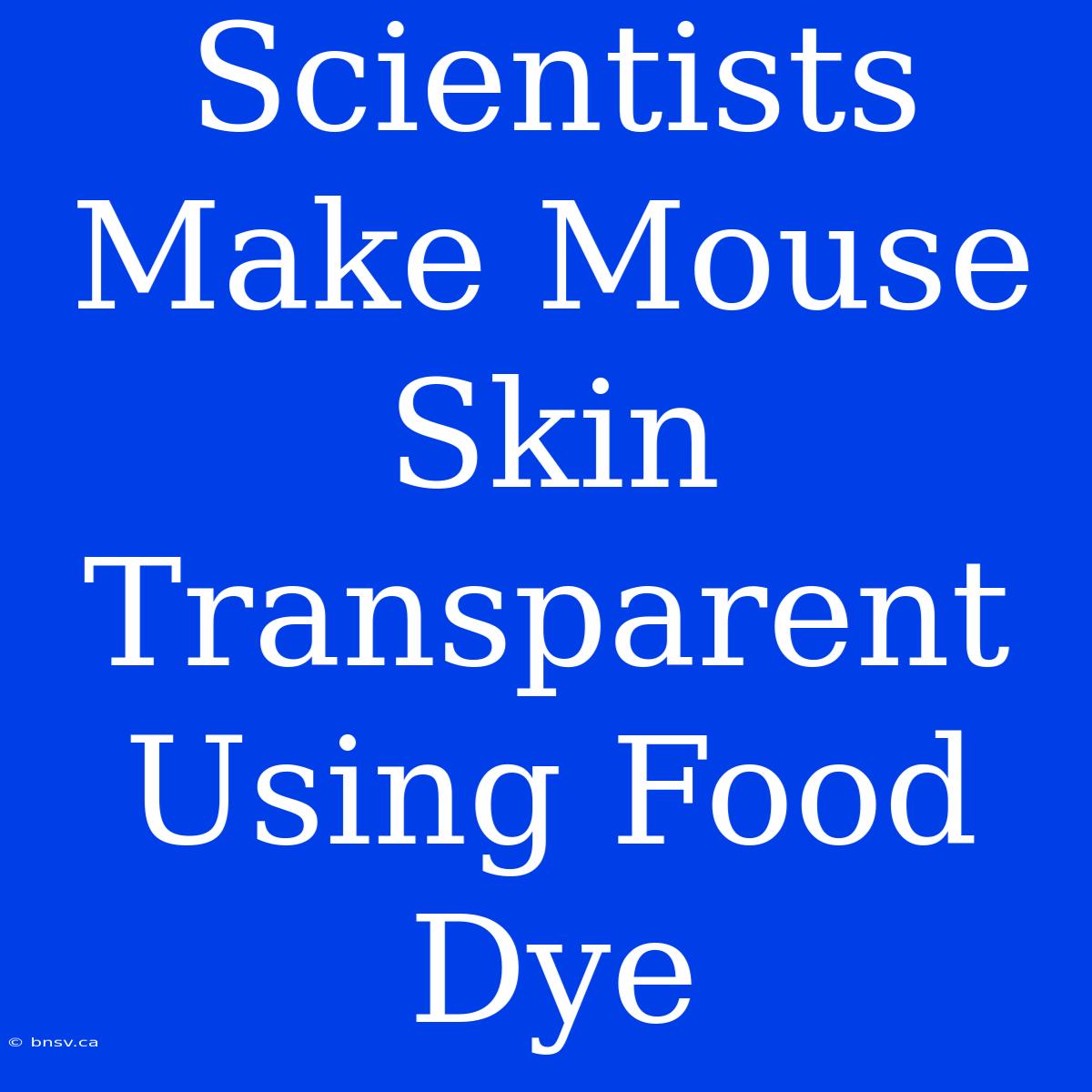 Scientists Make Mouse Skin Transparent Using Food Dye