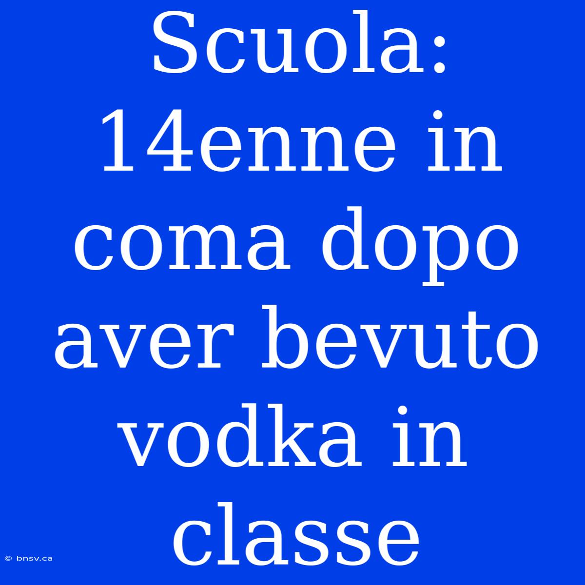 Scuola: 14enne In Coma Dopo Aver Bevuto Vodka In Classe