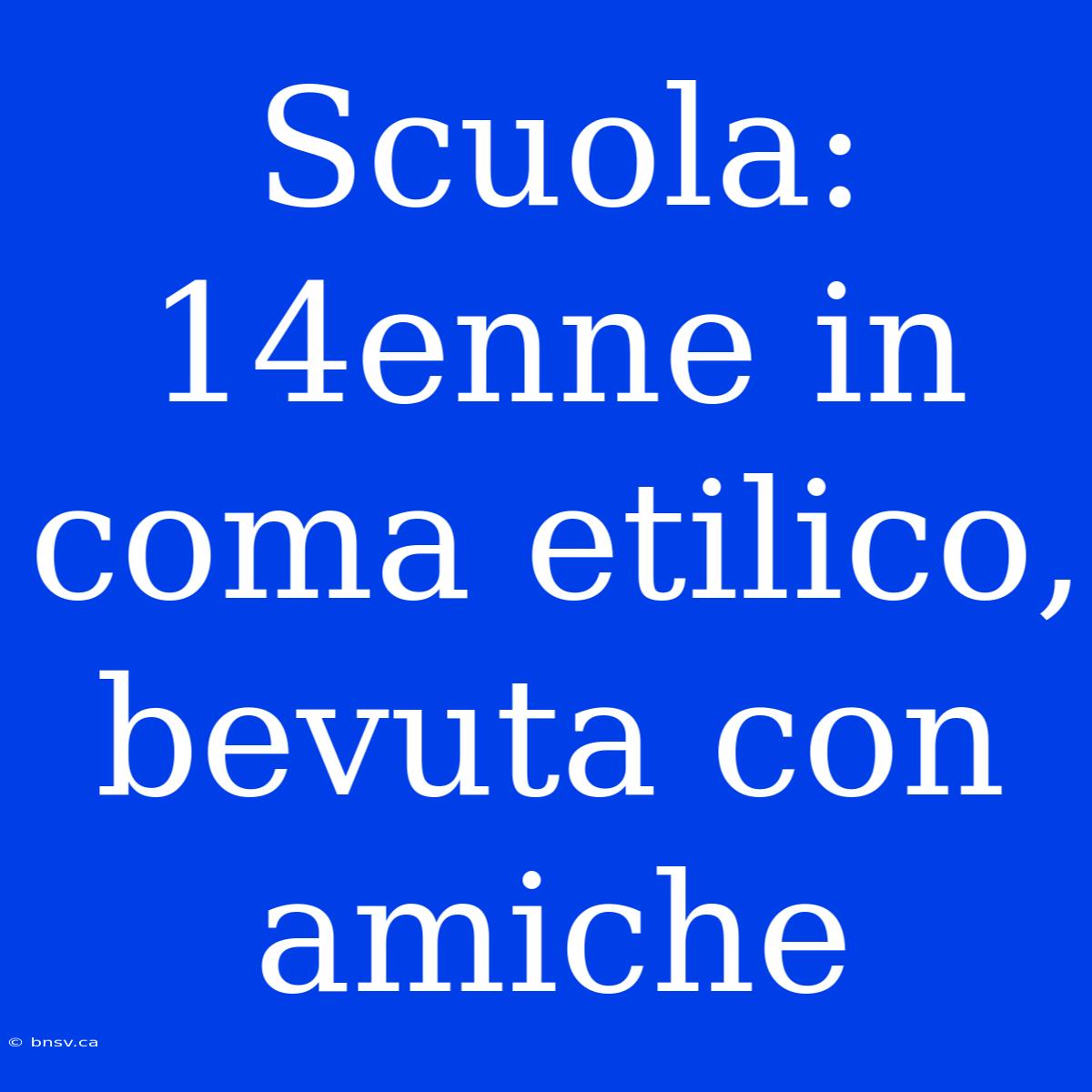 Scuola: 14enne In Coma Etilico, Bevuta Con Amiche