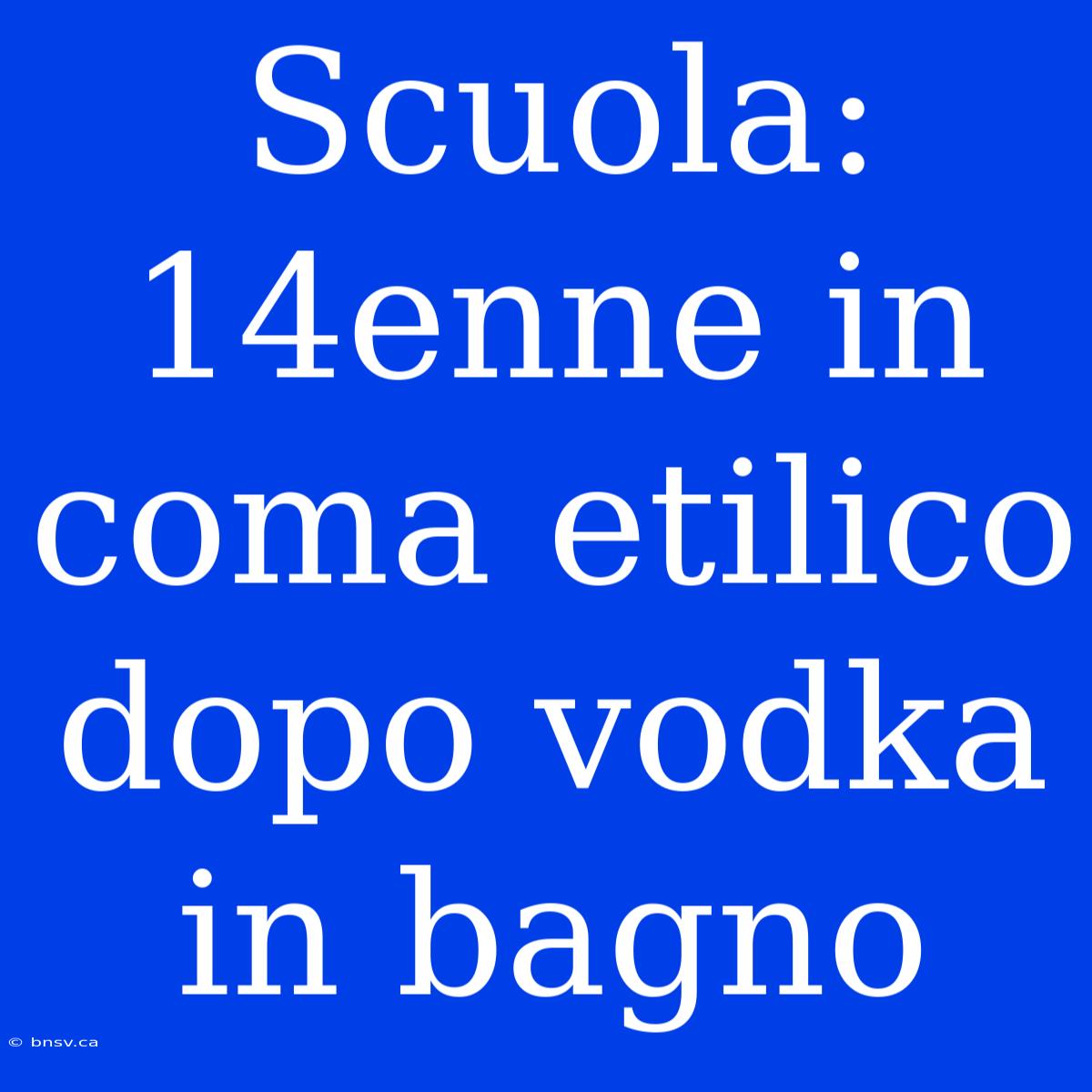 Scuola: 14enne In Coma Etilico Dopo Vodka In Bagno