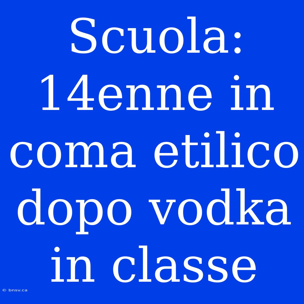 Scuola: 14enne In Coma Etilico Dopo Vodka In Classe