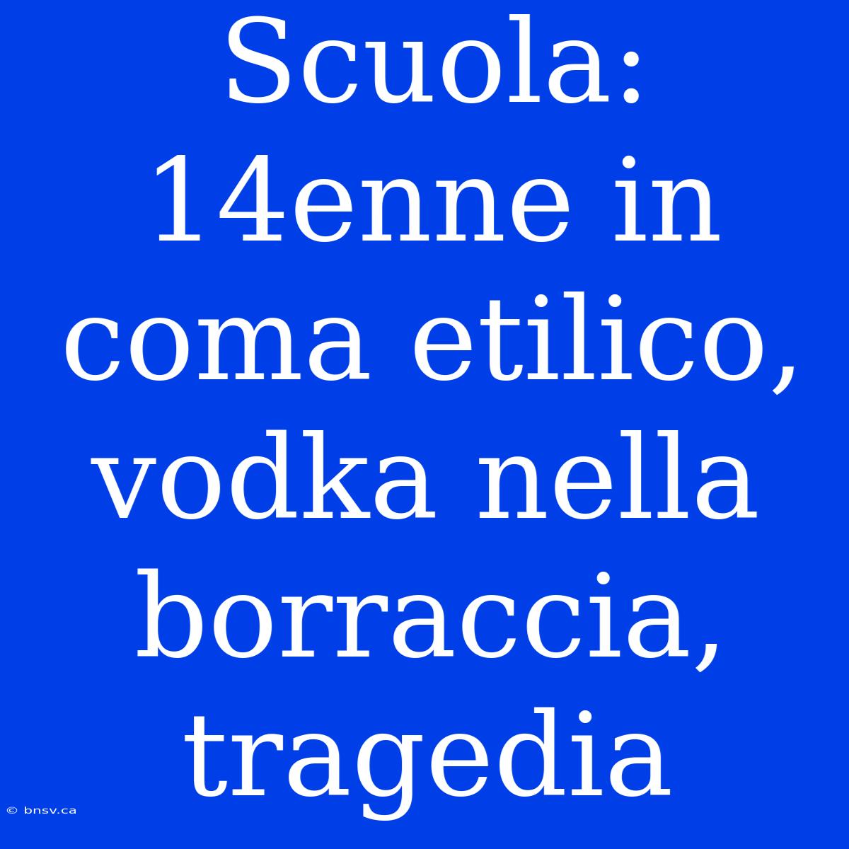 Scuola: 14enne In Coma Etilico, Vodka Nella Borraccia, Tragedia