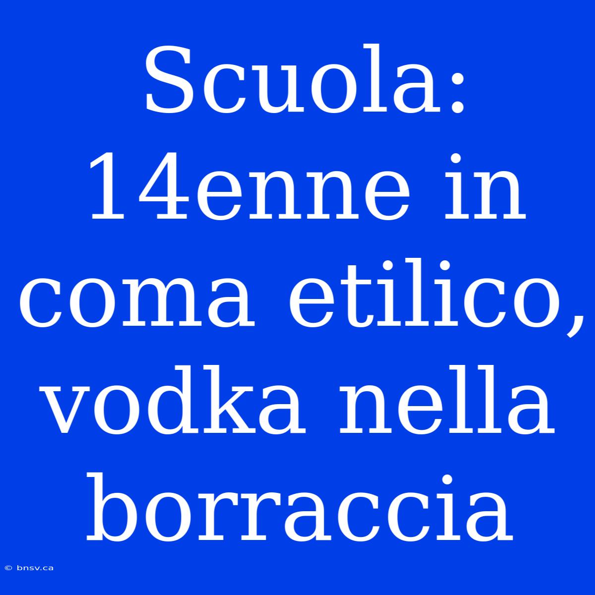 Scuola: 14enne In Coma Etilico, Vodka Nella Borraccia