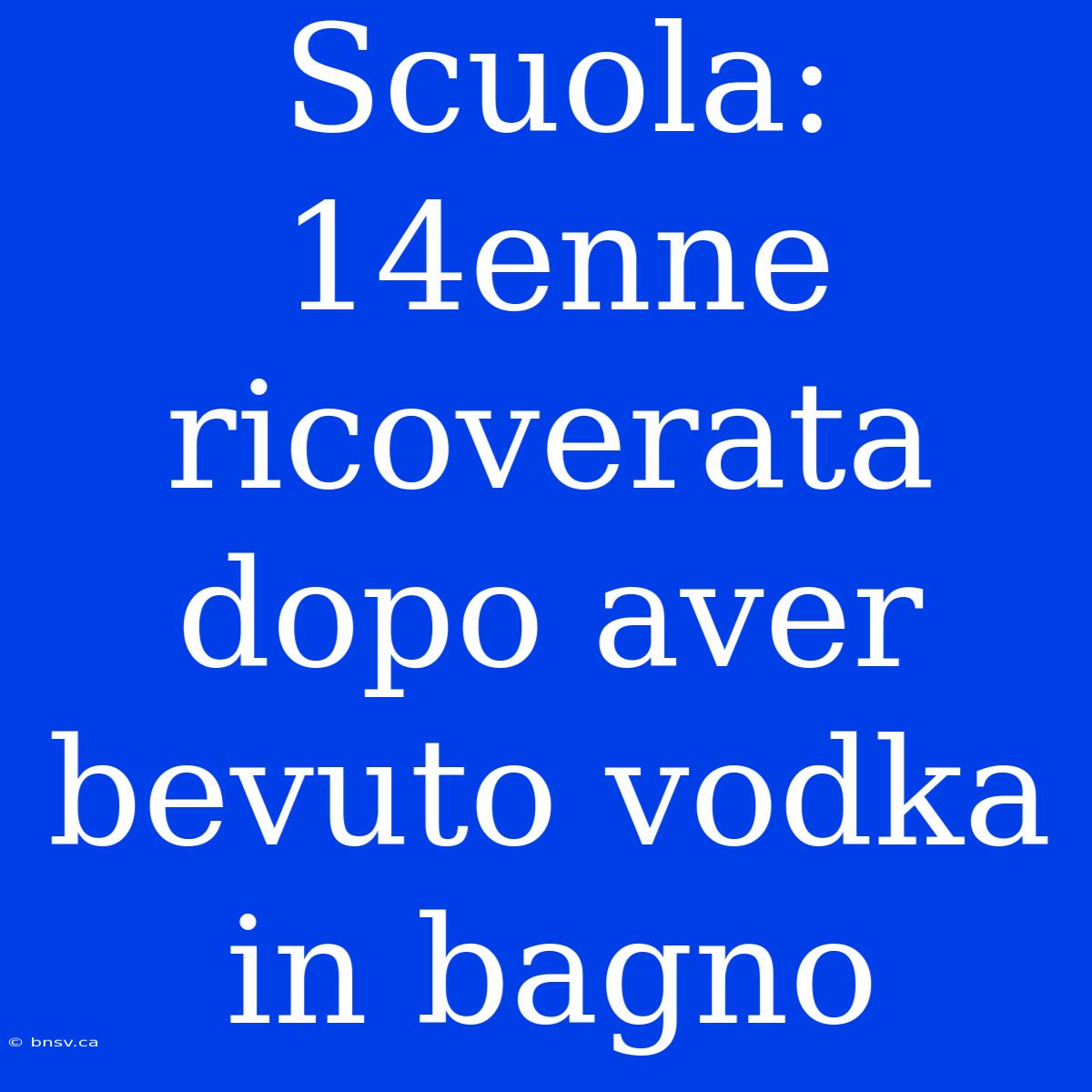 Scuola: 14enne Ricoverata Dopo Aver Bevuto Vodka In Bagno