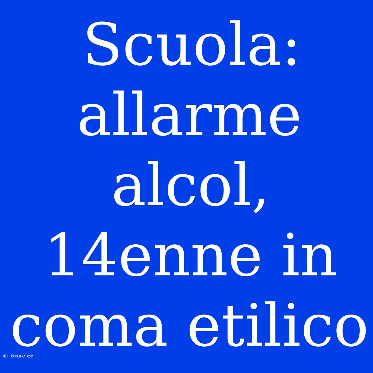 Scuola: Allarme Alcol, 14enne In Coma Etilico