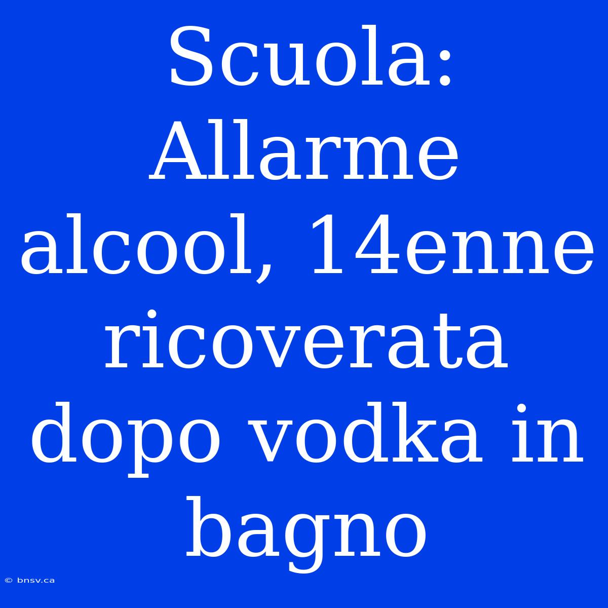 Scuola: Allarme Alcool, 14enne Ricoverata Dopo Vodka In Bagno