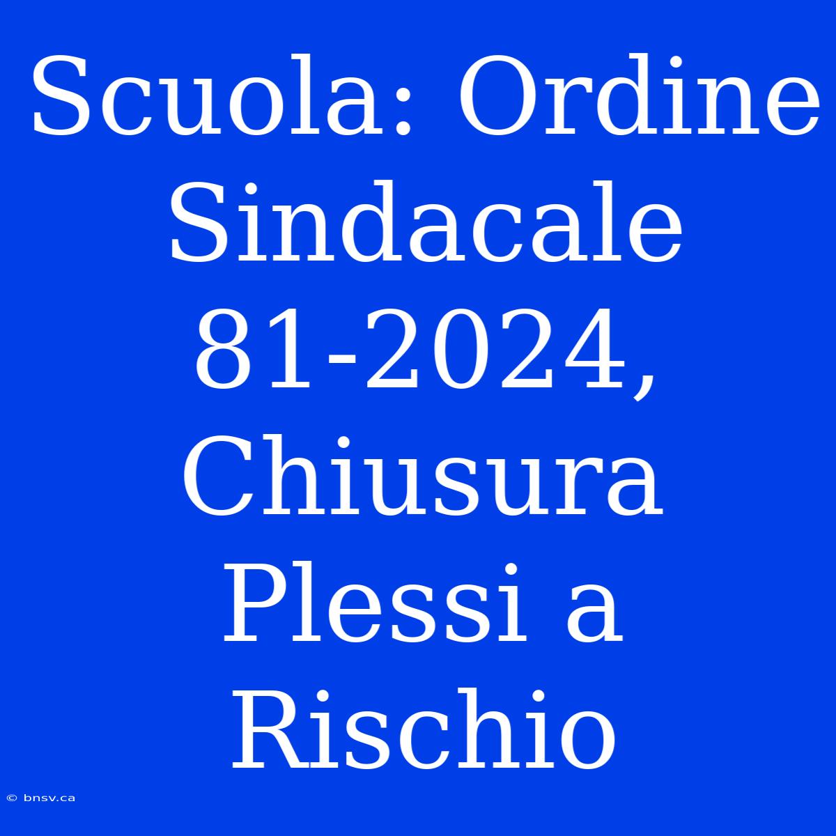 Scuola: Ordine Sindacale 81-2024, Chiusura Plessi A Rischio