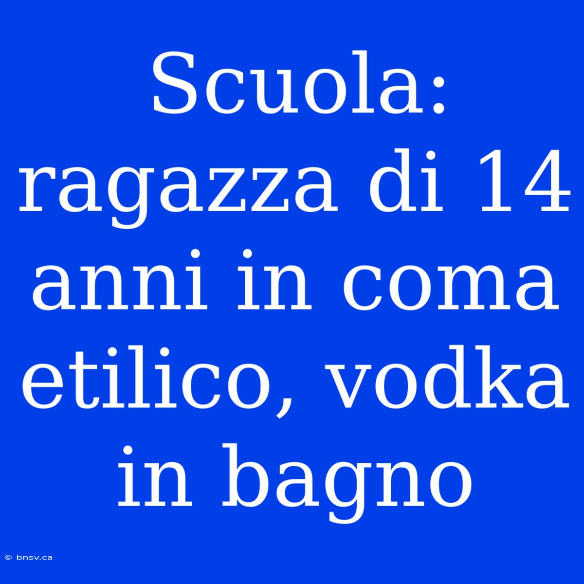 Scuola: Ragazza Di 14 Anni In Coma Etilico, Vodka In Bagno