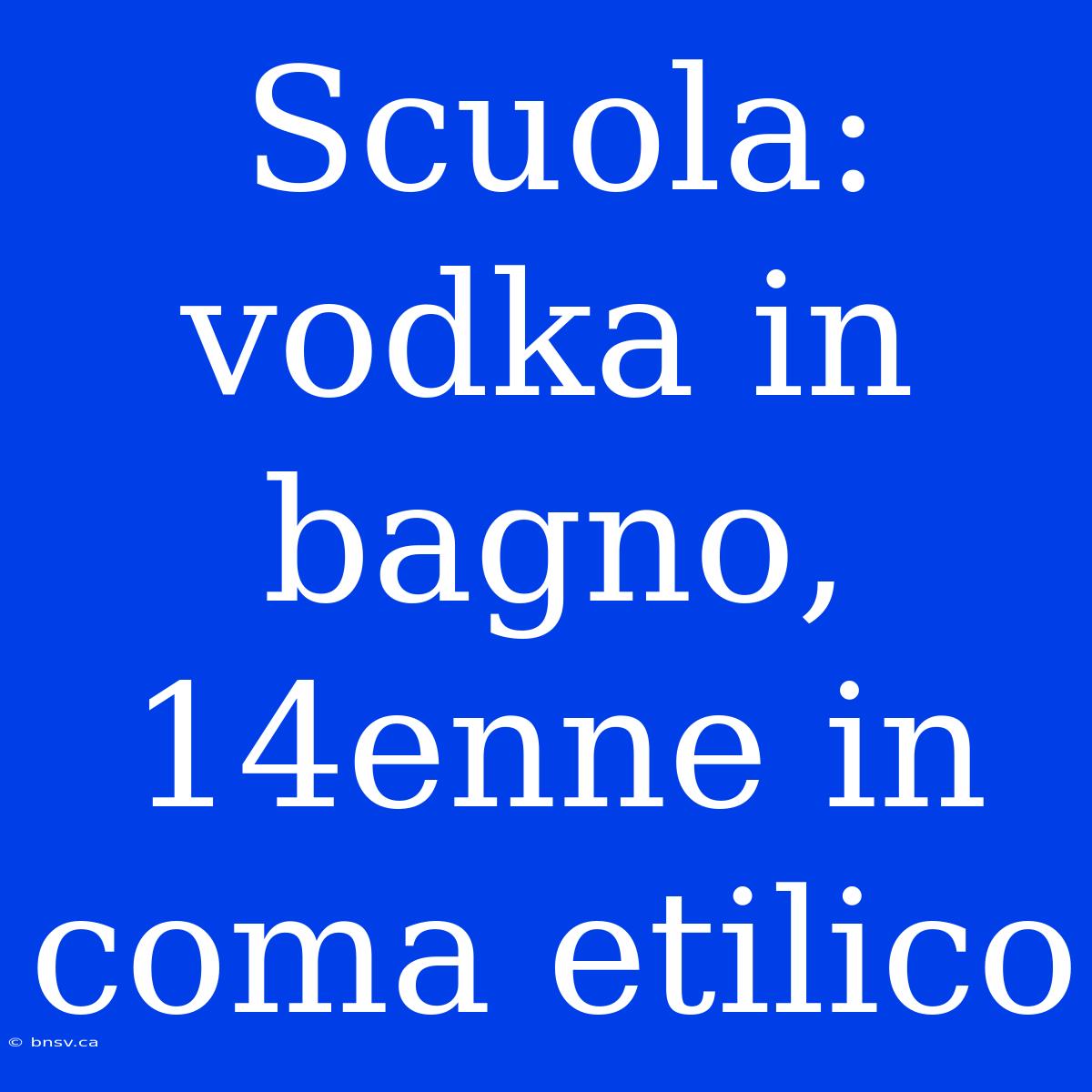 Scuola: Vodka In Bagno, 14enne In Coma Etilico