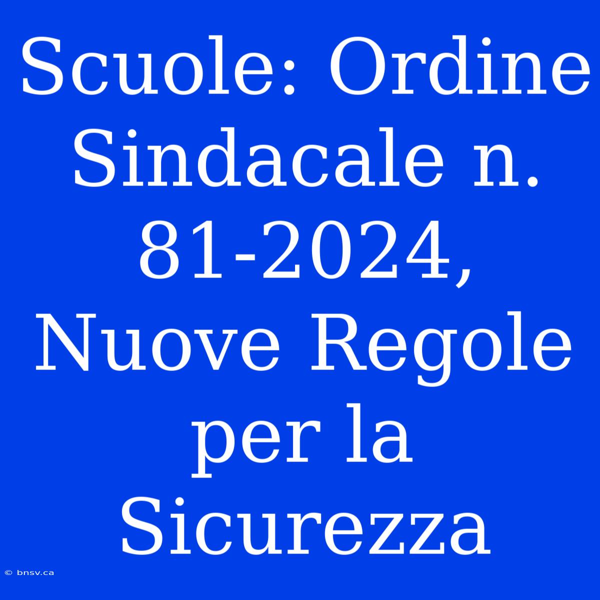 Scuole: Ordine Sindacale N. 81-2024, Nuove Regole Per La Sicurezza