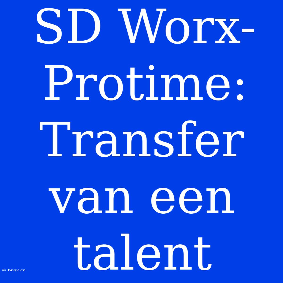 SD Worx-Protime: Transfer Van Een Talent