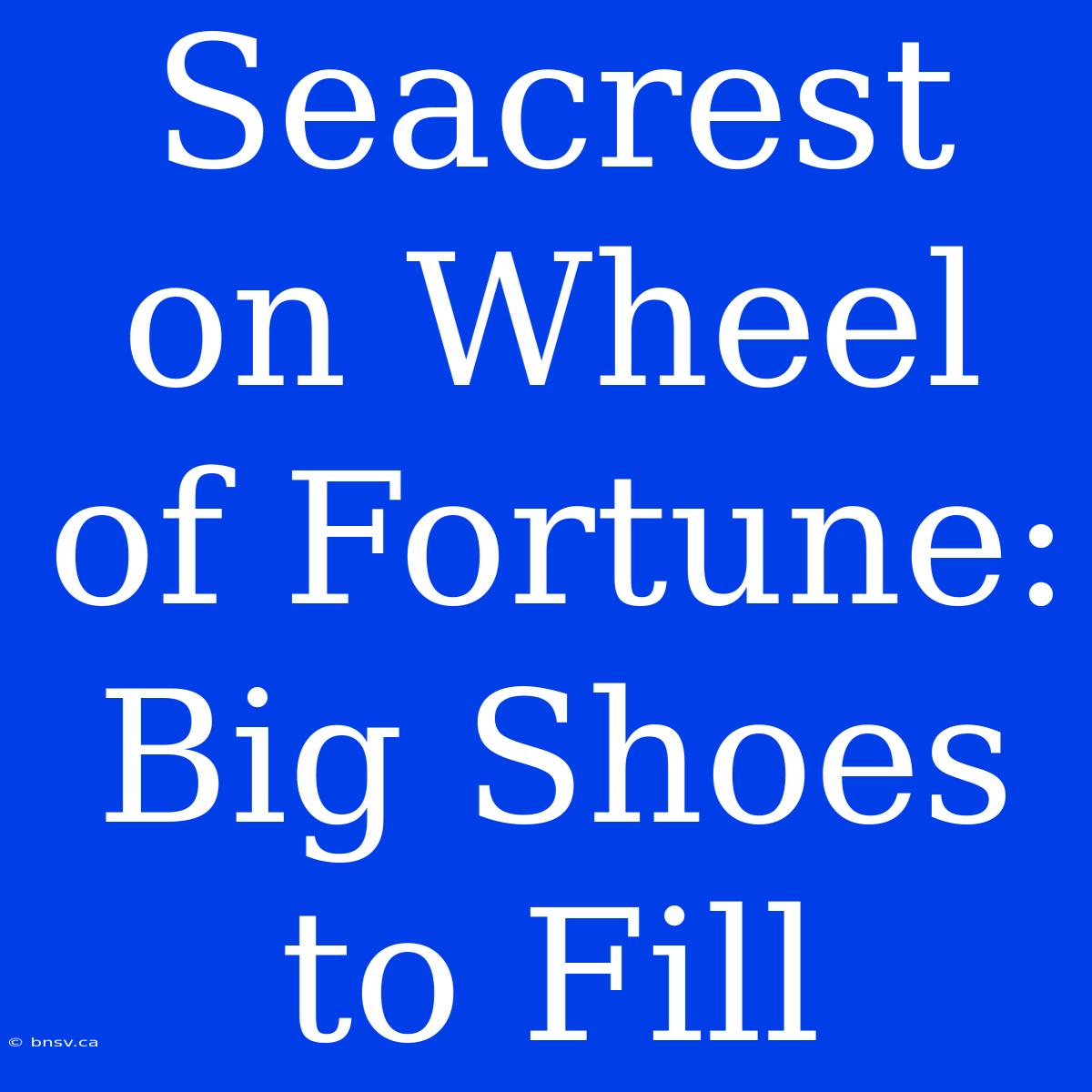 Seacrest On Wheel Of Fortune: Big Shoes To Fill