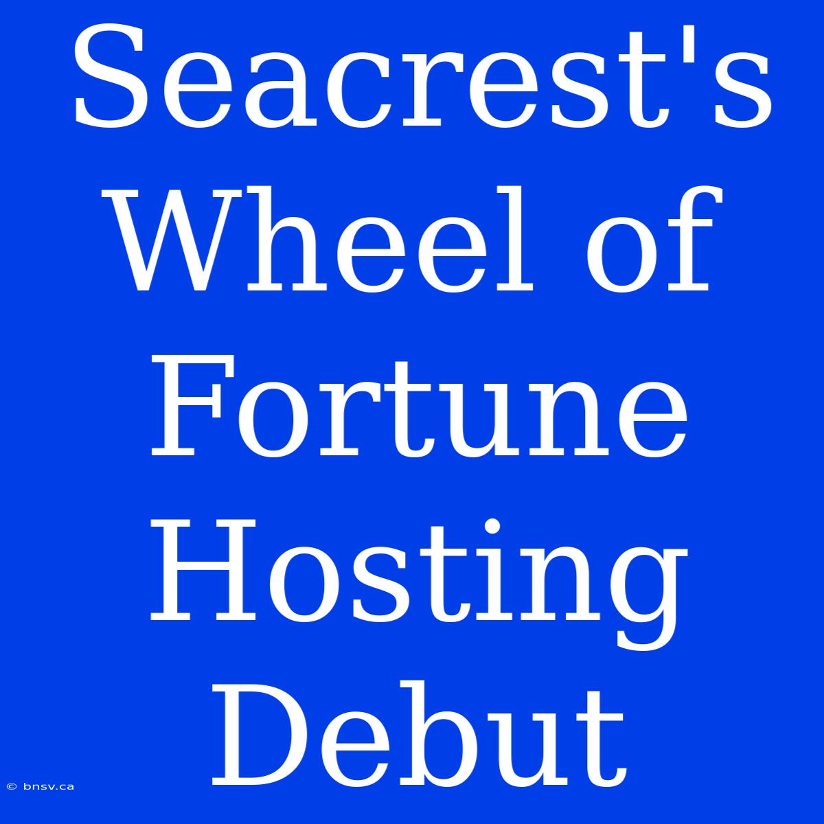 Seacrest's Wheel Of Fortune Hosting Debut