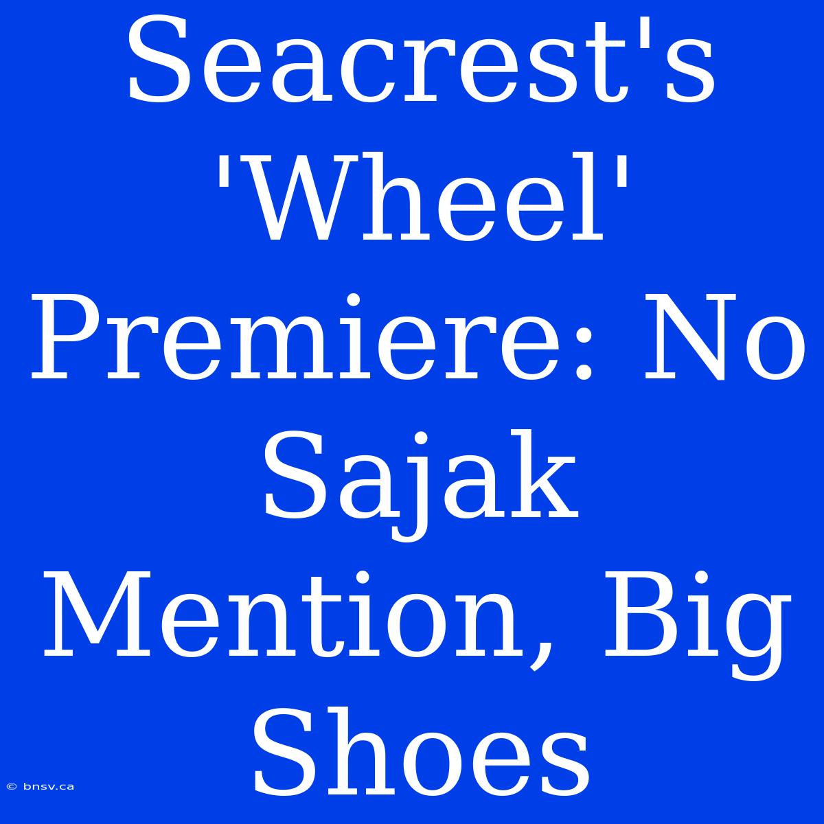 Seacrest's 'Wheel' Premiere: No Sajak Mention, Big Shoes