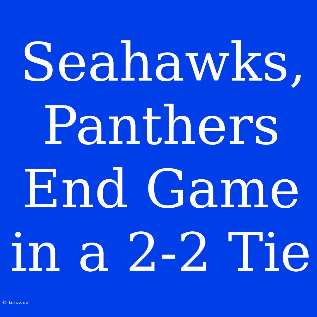 Seahawks, Panthers End Game In A 2-2 Tie