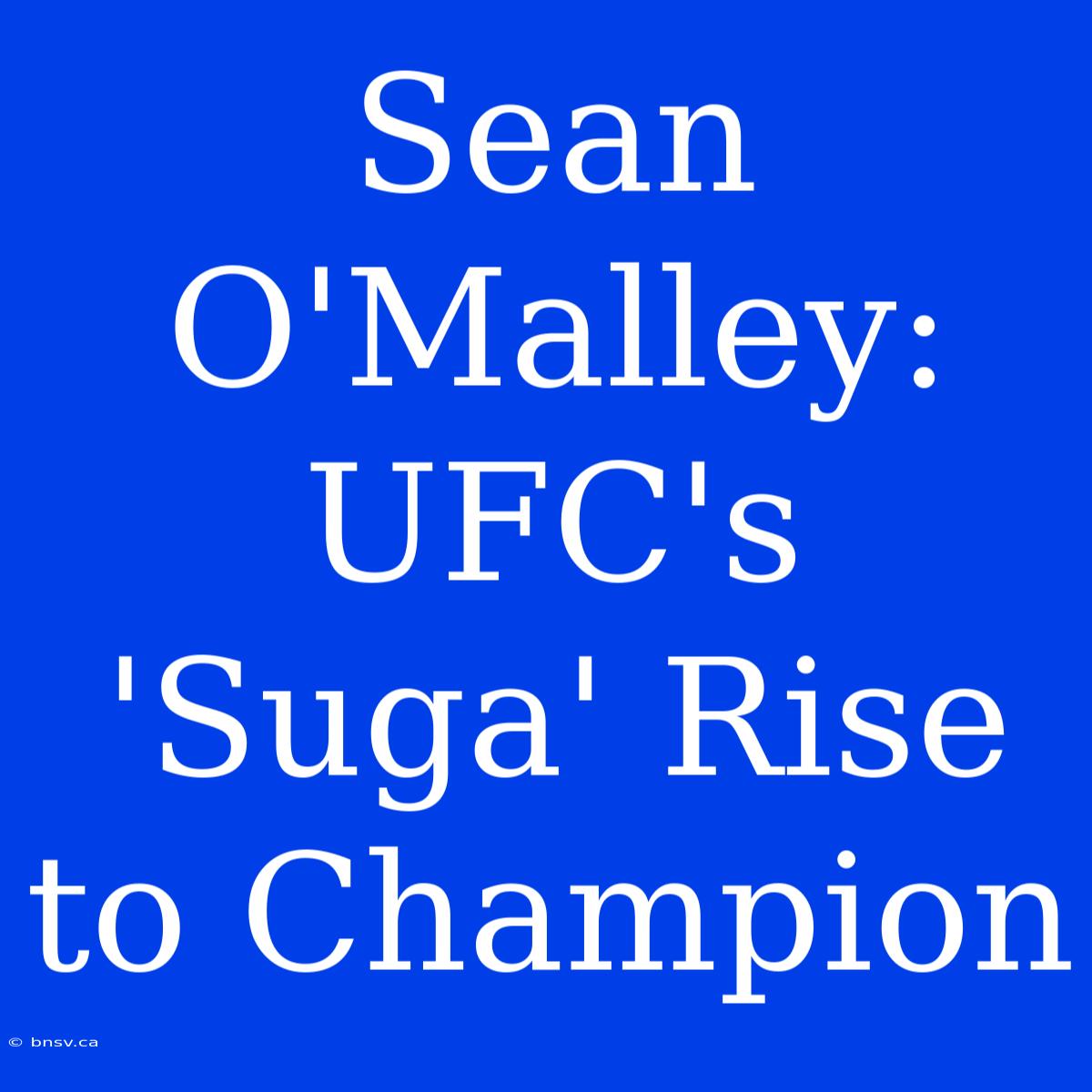 Sean O'Malley: UFC's 'Suga' Rise To Champion