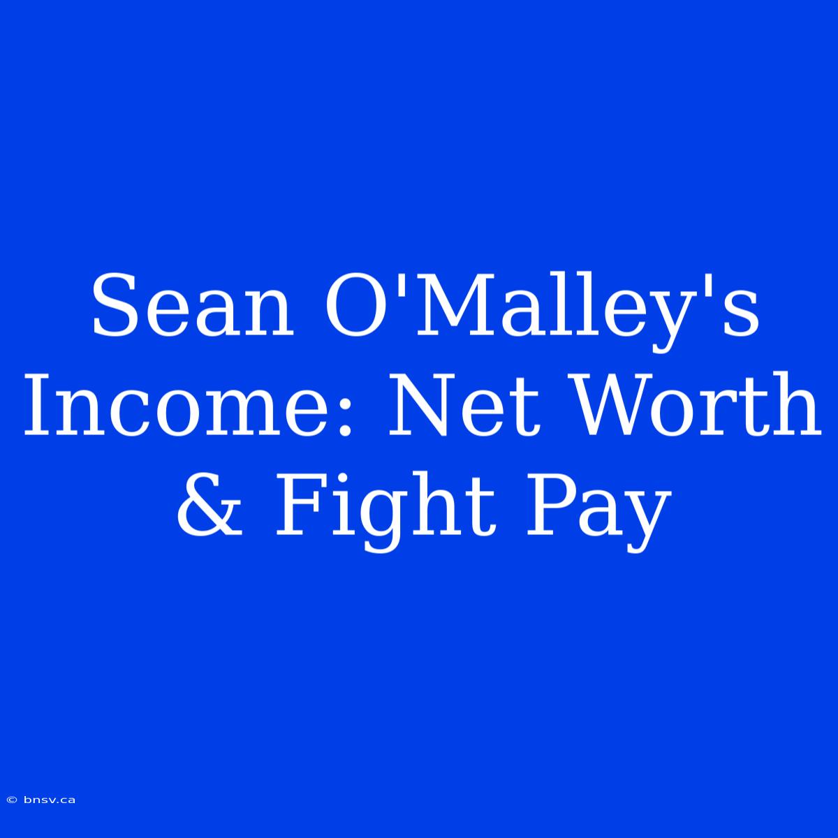 Sean O'Malley's Income: Net Worth & Fight Pay