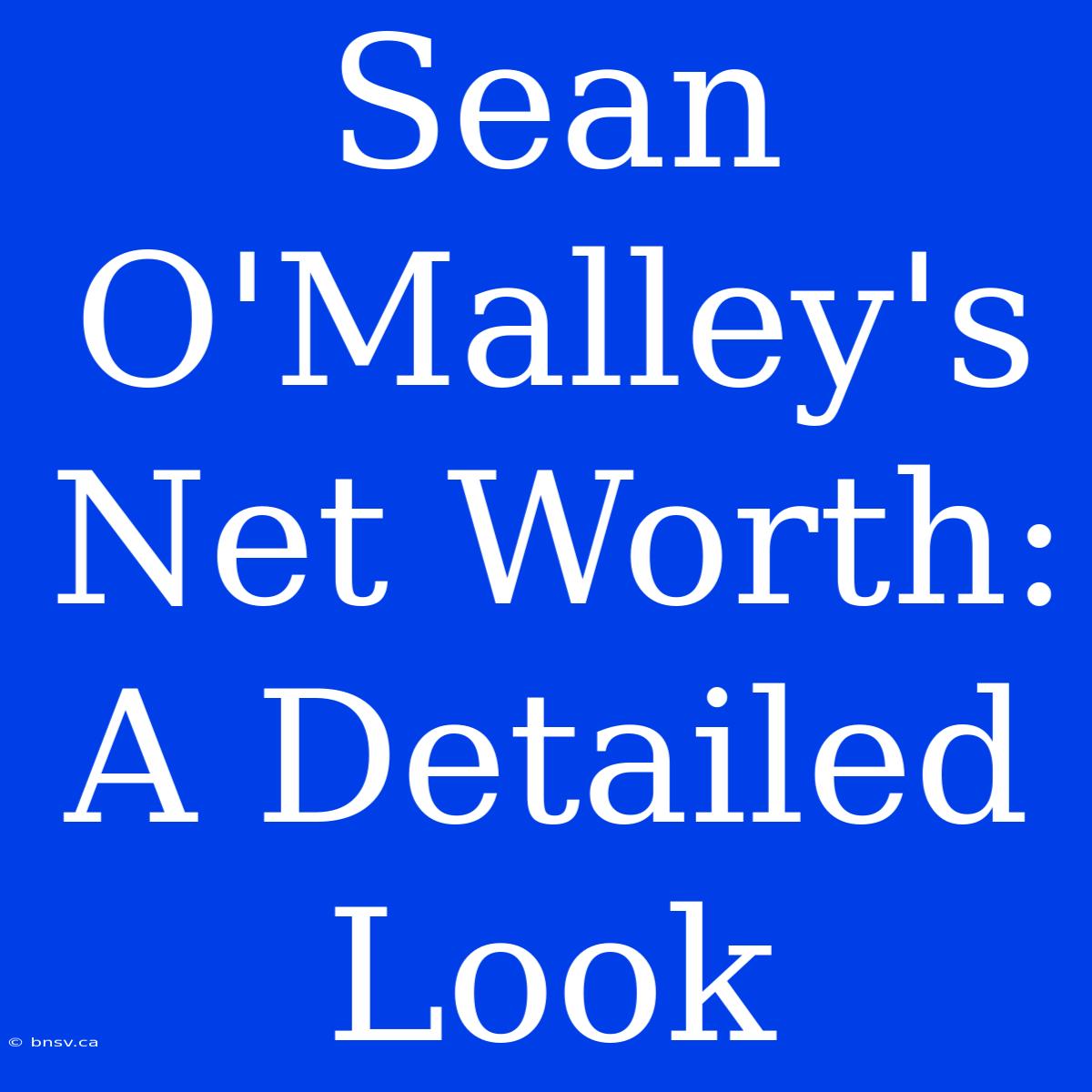 Sean O'Malley's Net Worth: A Detailed Look