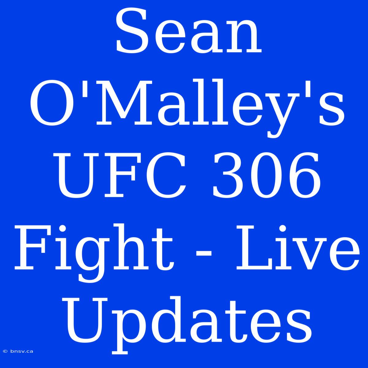 Sean O'Malley's UFC 306 Fight - Live Updates