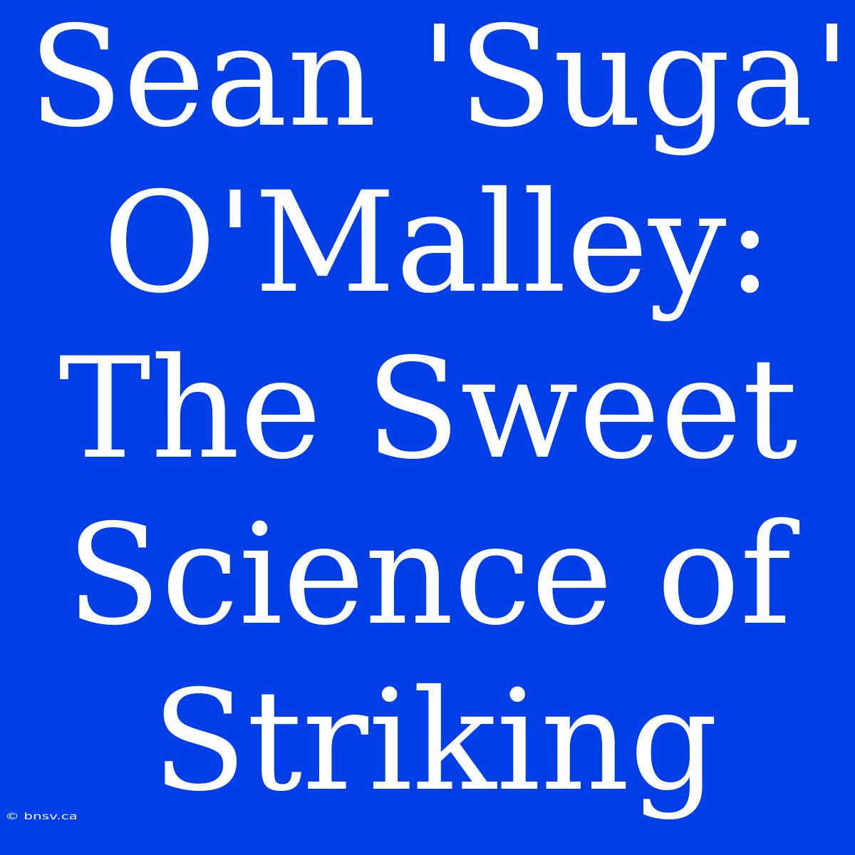 Sean 'Suga' O'Malley: The Sweet Science Of Striking