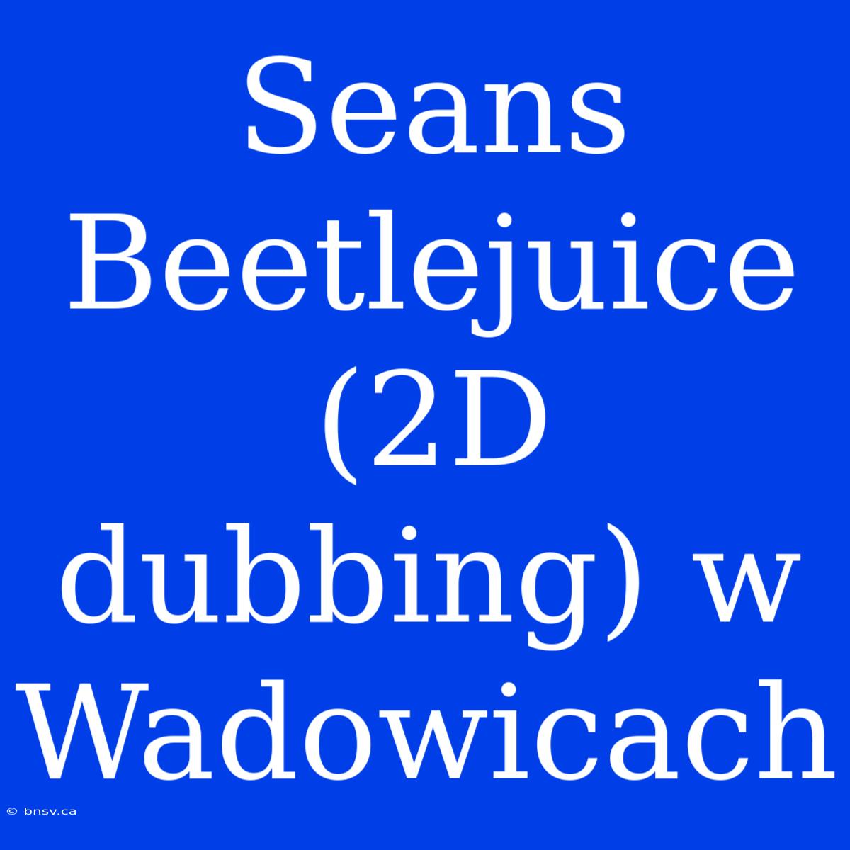 Seans Beetlejuice (2D Dubbing) W Wadowicach