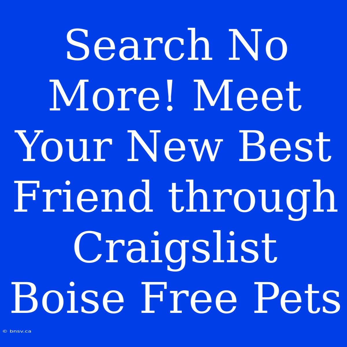 Search No More! Meet Your New Best Friend Through Craigslist Boise Free Pets