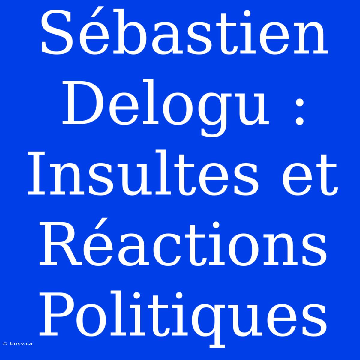 Sébastien Delogu : Insultes Et Réactions Politiques