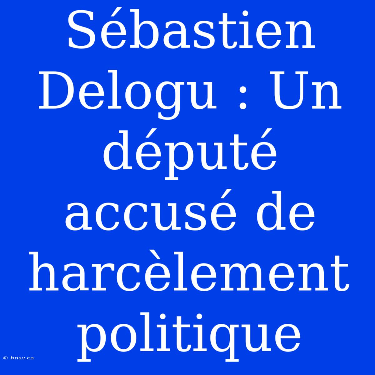 Sébastien Delogu : Un Député Accusé De Harcèlement Politique