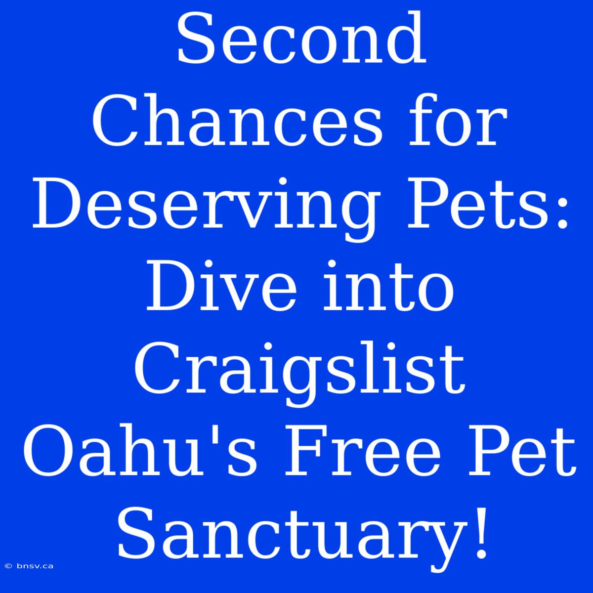 Second Chances For Deserving Pets: Dive Into Craigslist Oahu's Free Pet Sanctuary!