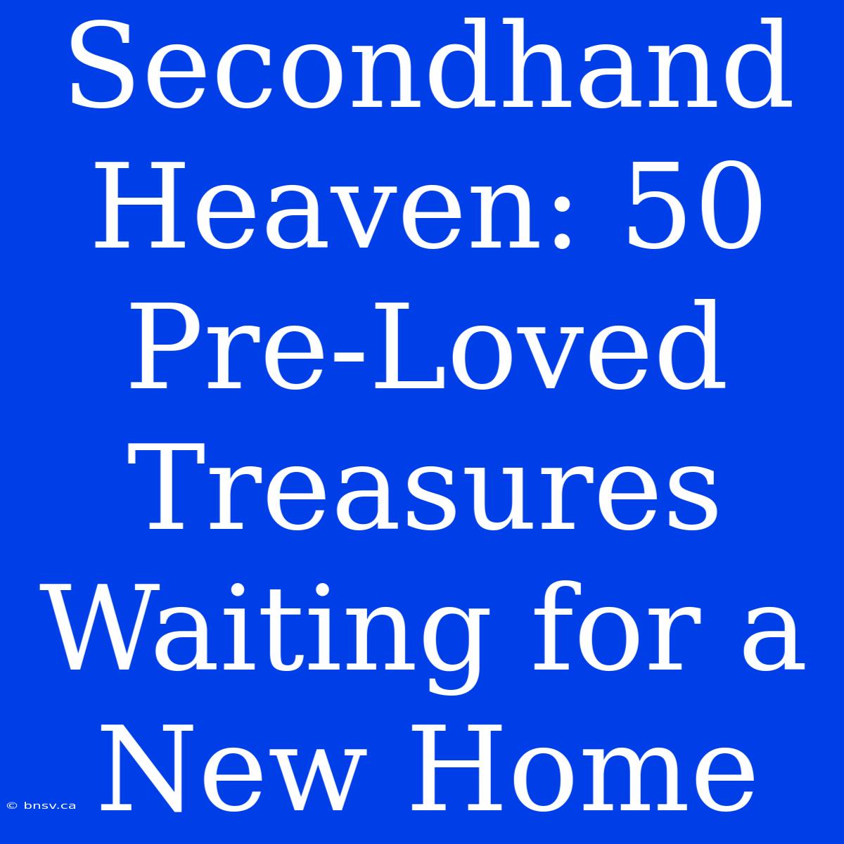 Secondhand Heaven: 50 Pre-Loved Treasures Waiting For A New Home