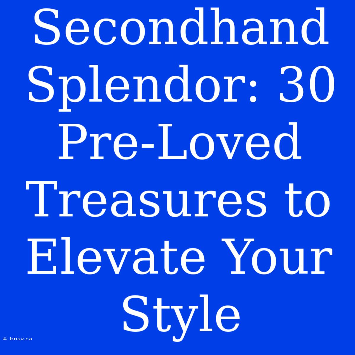 Secondhand Splendor: 30 Pre-Loved Treasures To Elevate Your Style