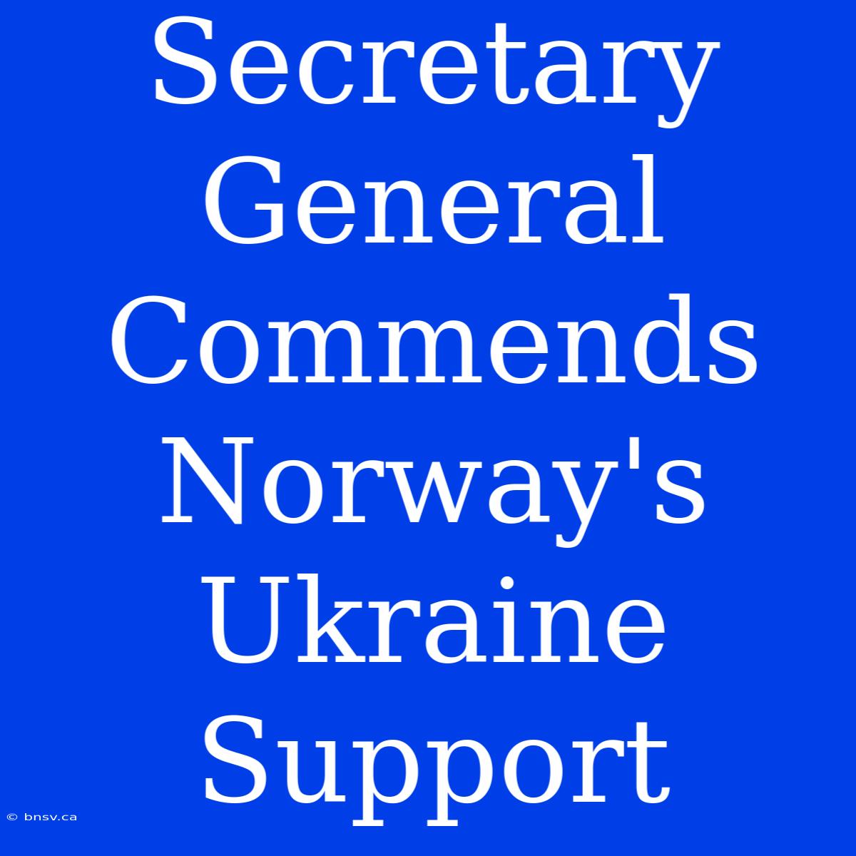 Secretary General Commends Norway's Ukraine Support