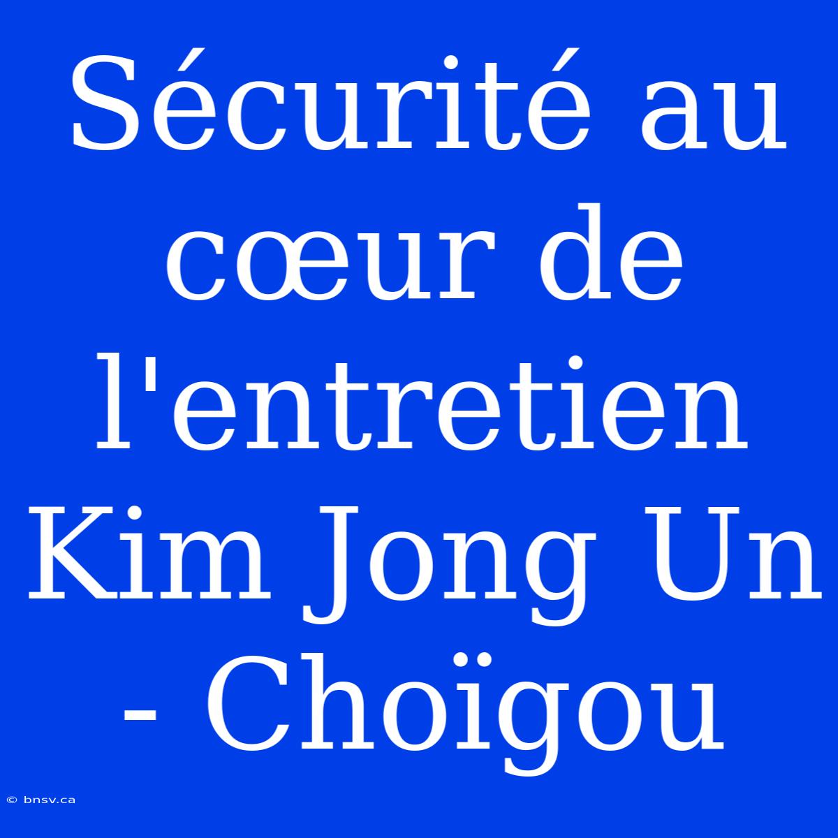 Sécurité Au Cœur De L'entretien Kim Jong Un - Choïgou