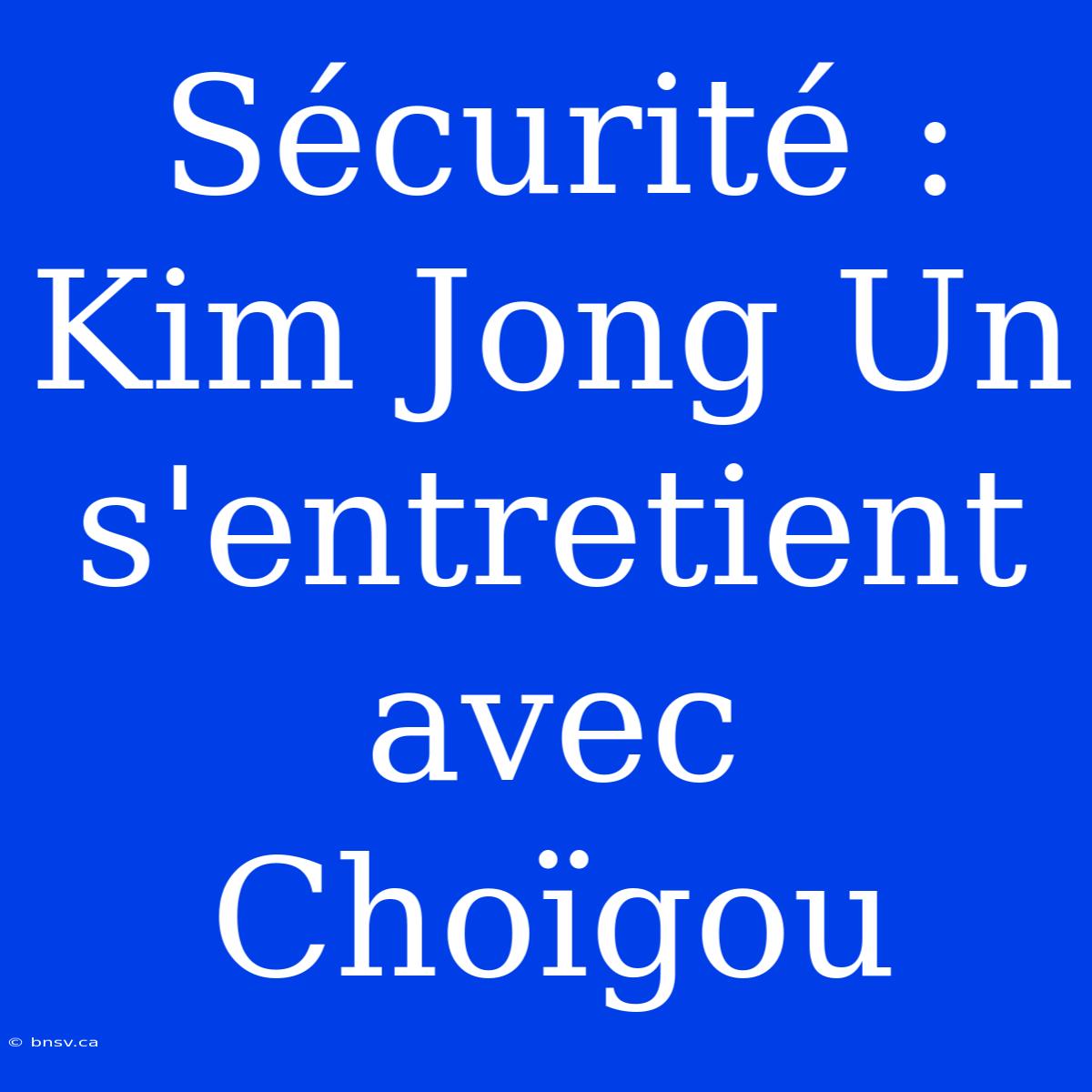 Sécurité : Kim Jong Un S'entretient Avec Choïgou