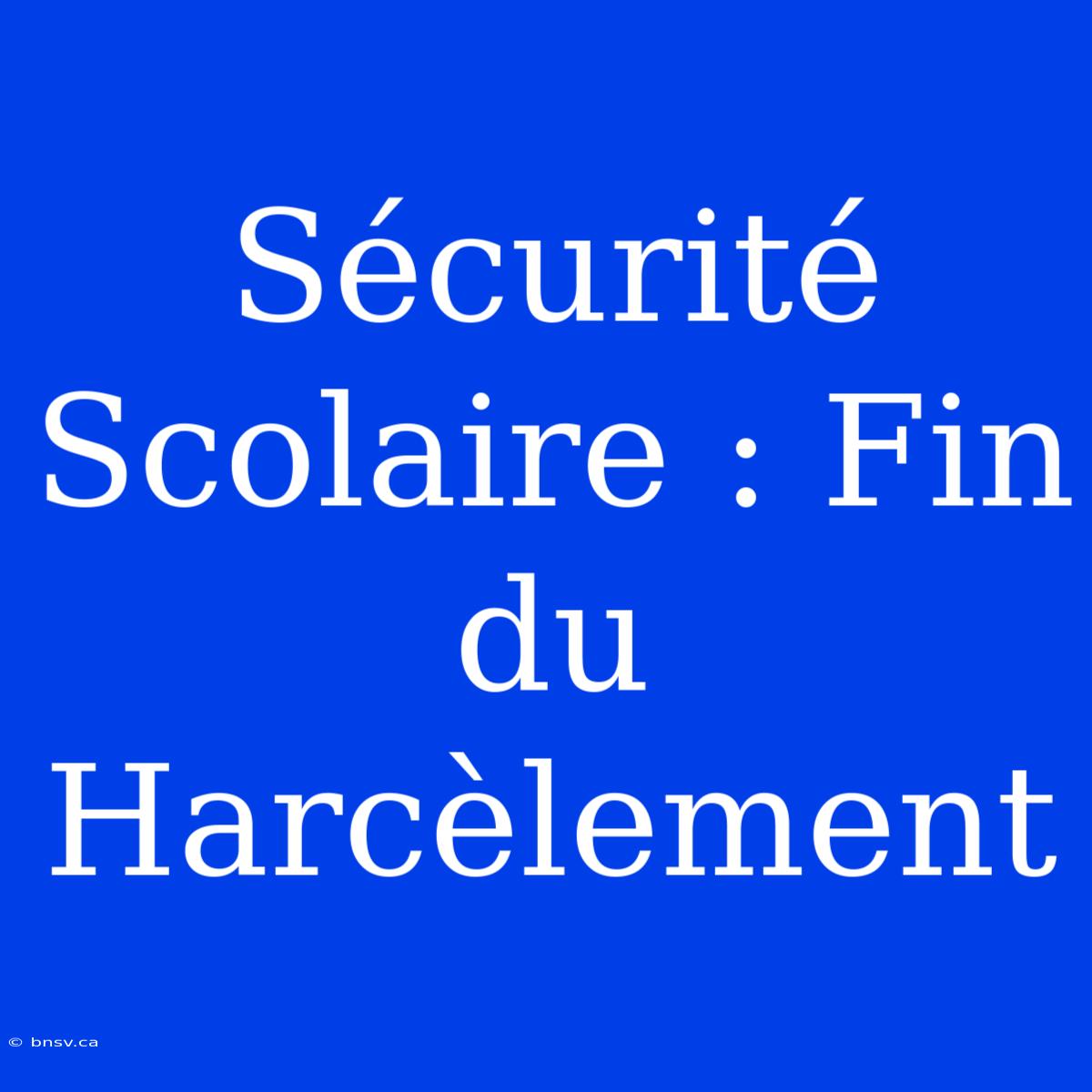 Sécurité Scolaire : Fin Du Harcèlement