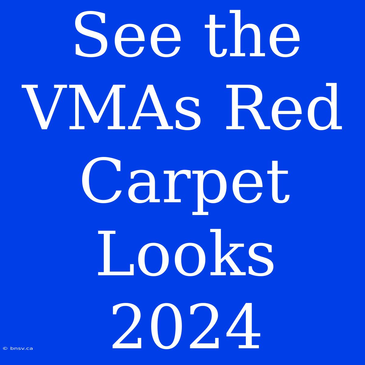 See The VMAs Red Carpet Looks 2024