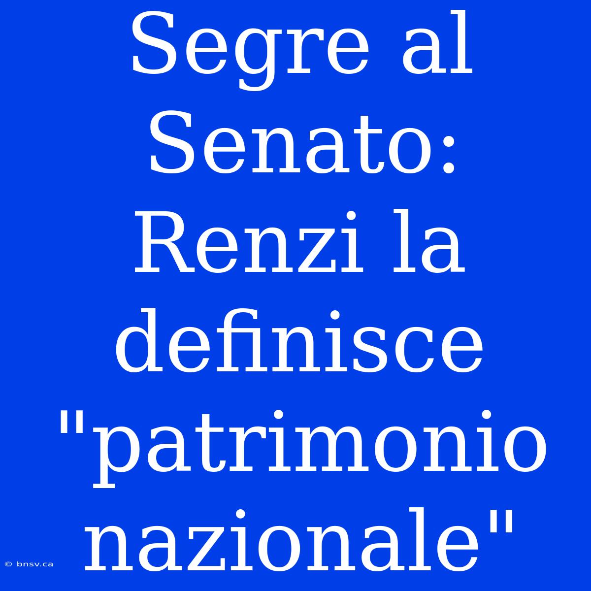 Segre Al Senato: Renzi La Definisce 