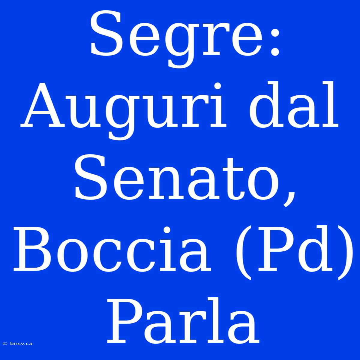 Segre: Auguri Dal Senato, Boccia (Pd) Parla