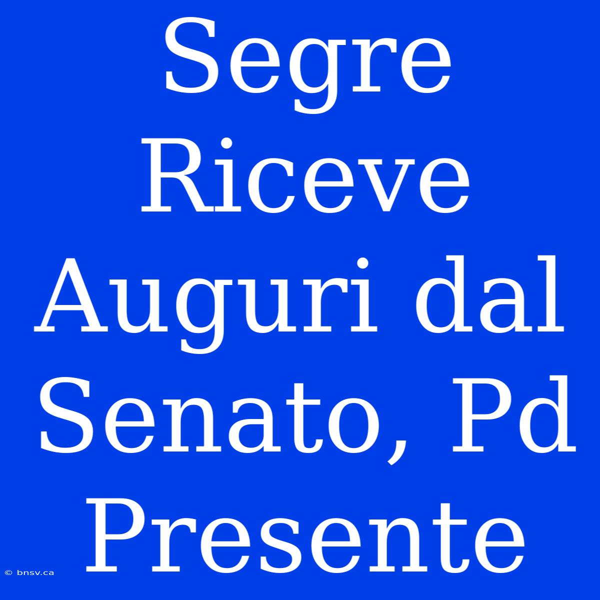 Segre Riceve Auguri Dal Senato, Pd Presente