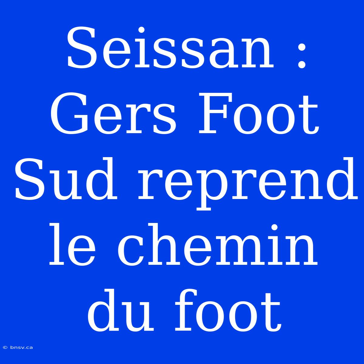 Seissan : Gers Foot Sud Reprend Le Chemin Du Foot