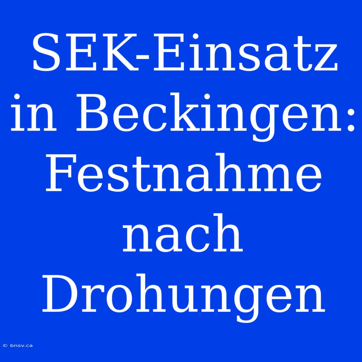 SEK-Einsatz In Beckingen: Festnahme Nach Drohungen