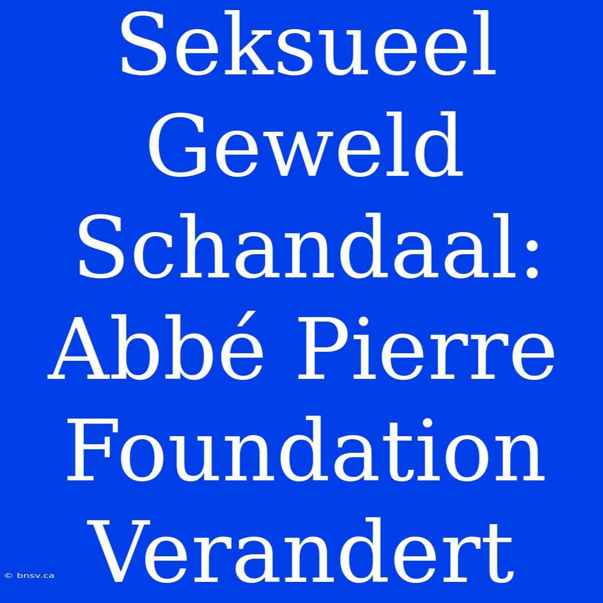 Seksueel Geweld Schandaal: Abbé Pierre Foundation Verandert