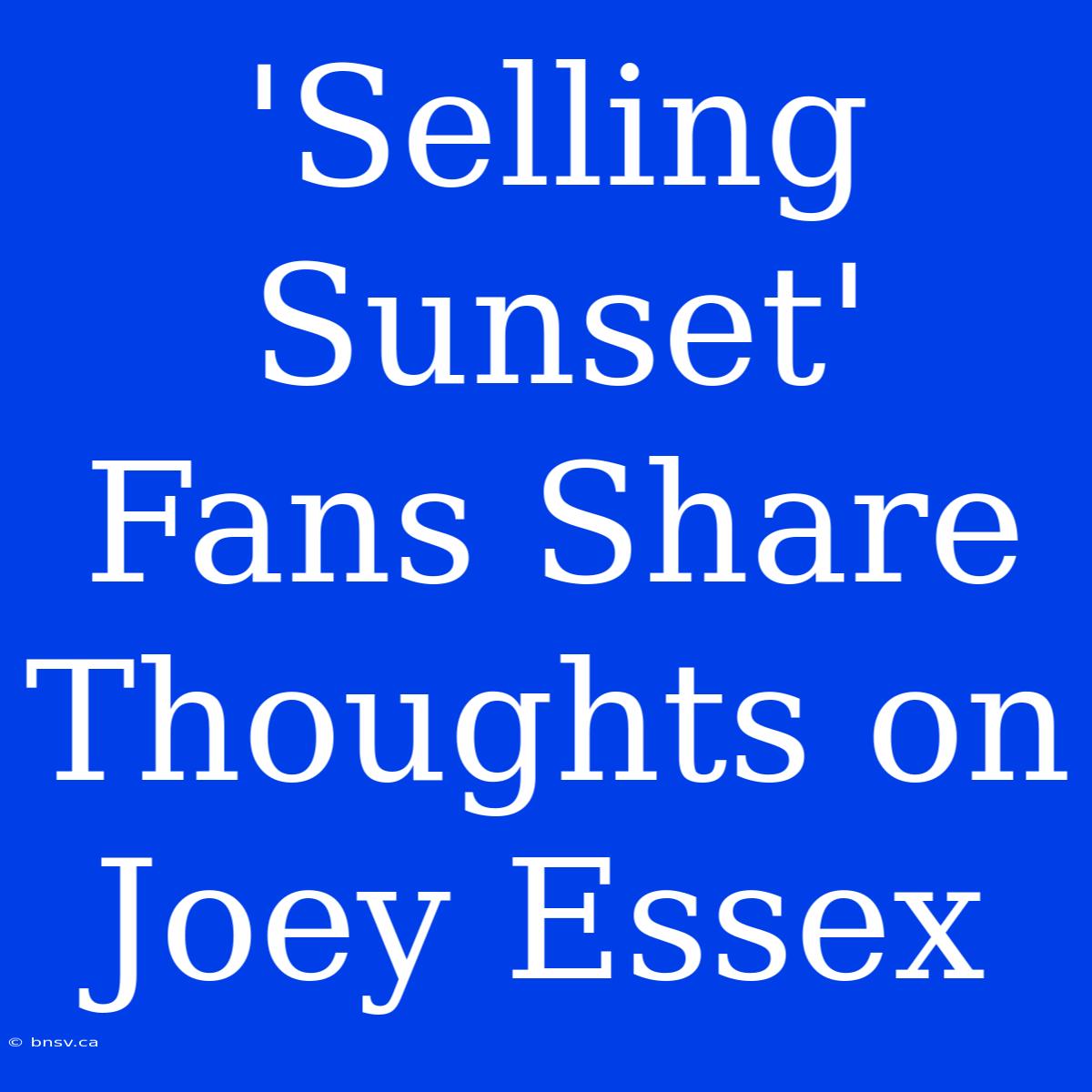 'Selling Sunset' Fans Share Thoughts On Joey Essex