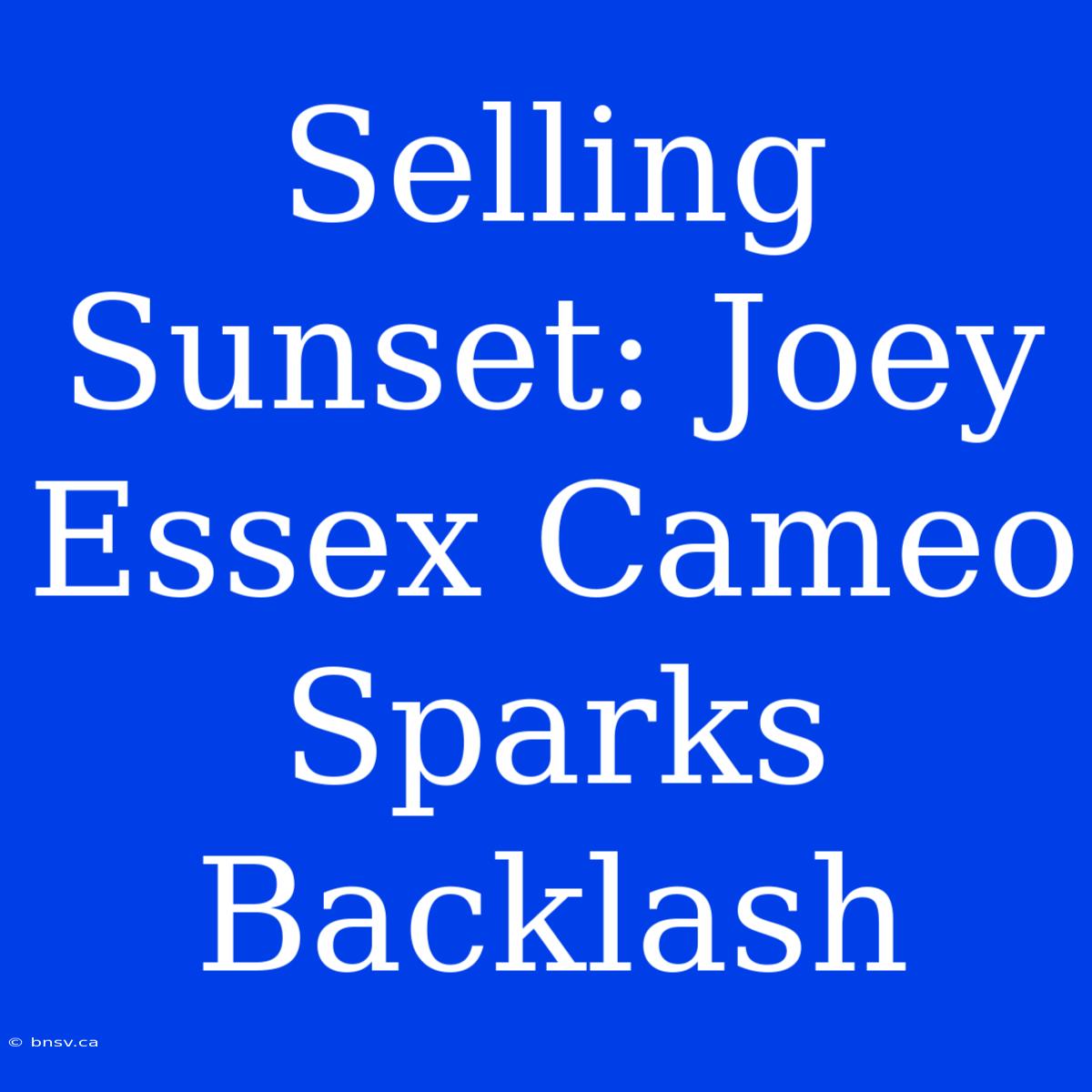 Selling Sunset: Joey Essex Cameo Sparks Backlash