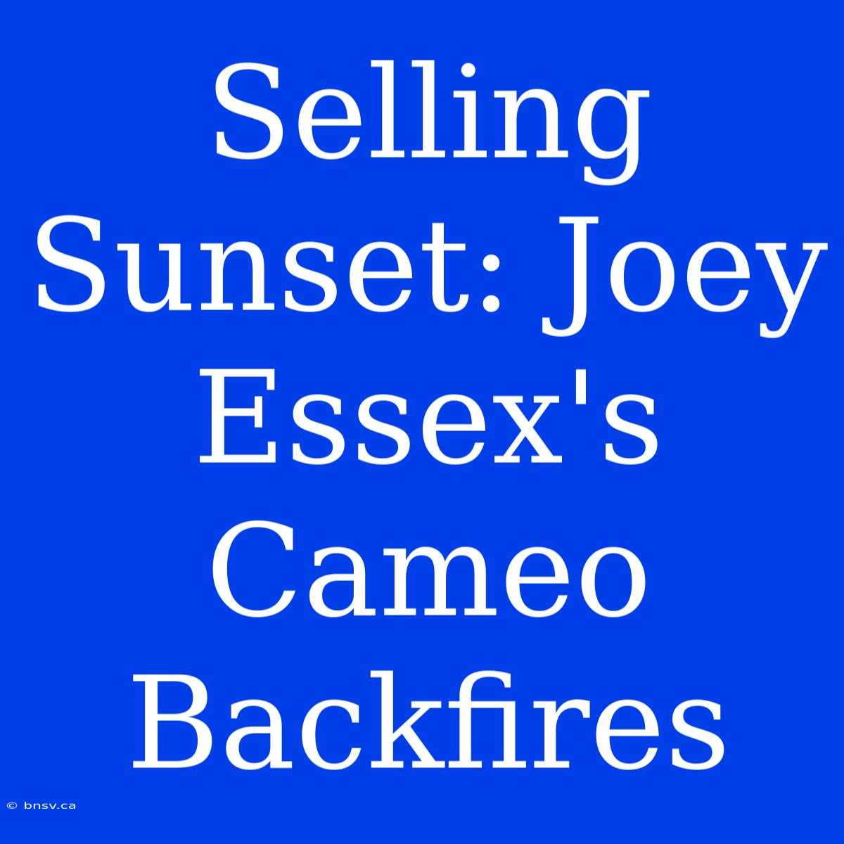 Selling Sunset: Joey Essex's Cameo Backfires