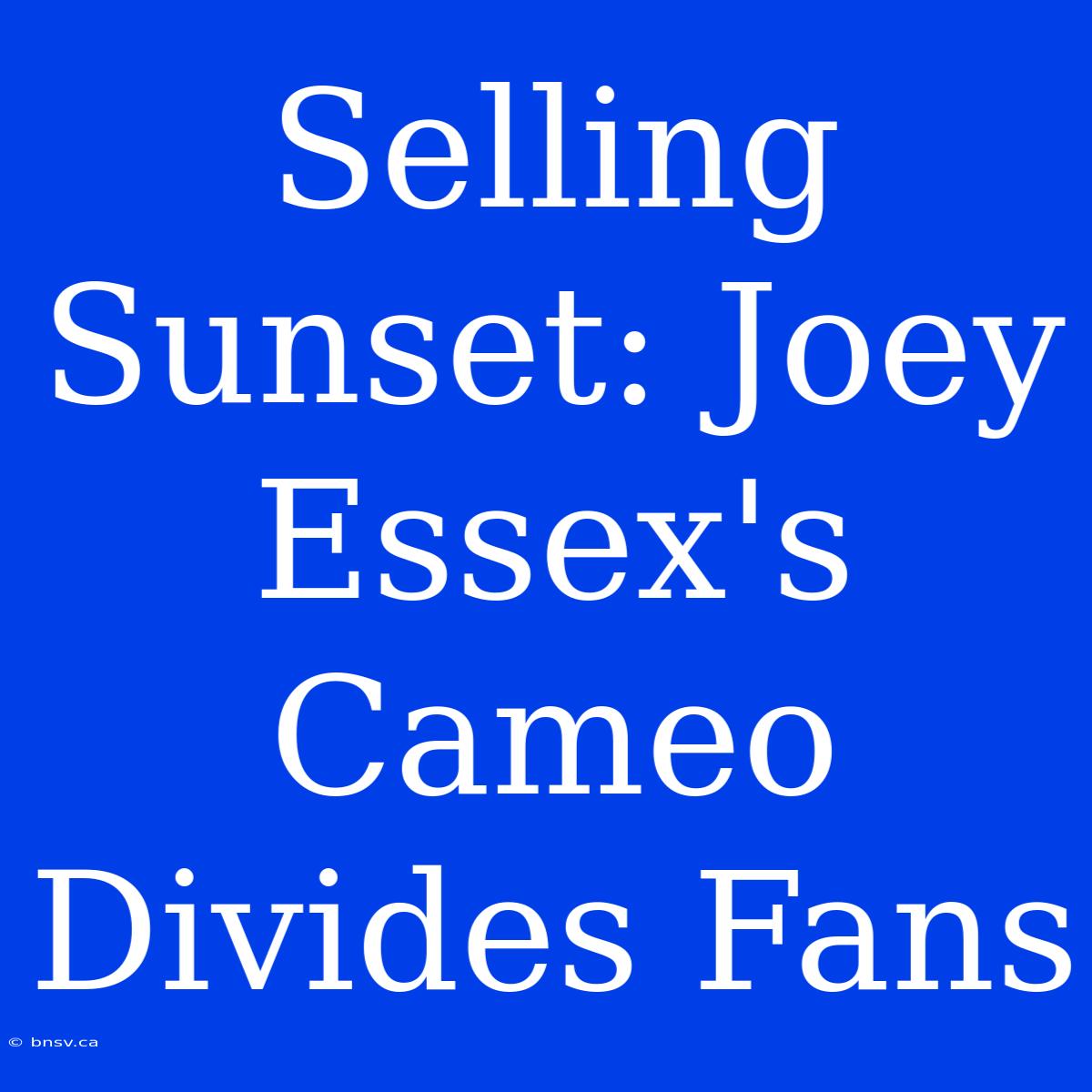 Selling Sunset: Joey Essex's Cameo Divides Fans