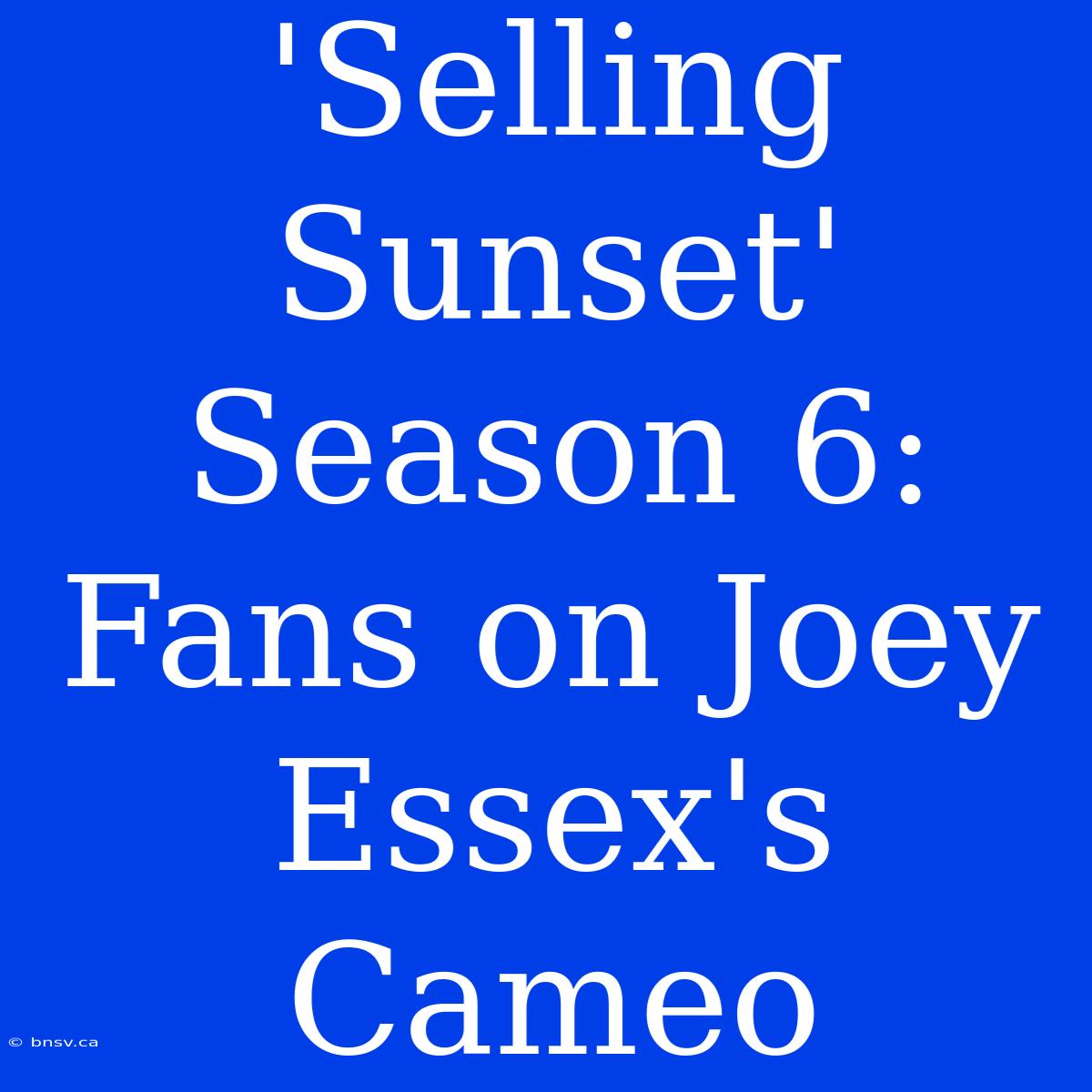 'Selling Sunset' Season 6: Fans On Joey Essex's Cameo