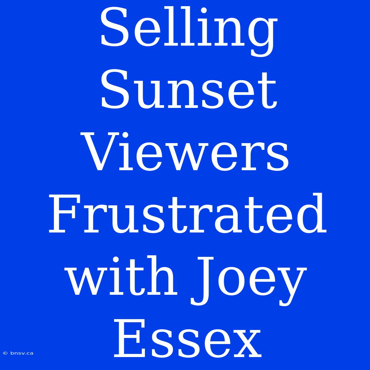 Selling Sunset Viewers Frustrated With Joey Essex