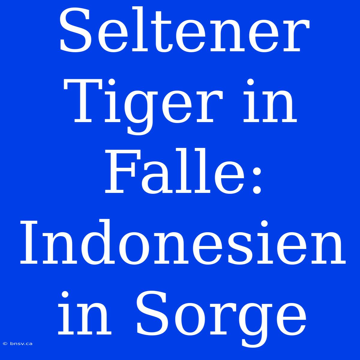 Seltener Tiger In Falle: Indonesien In Sorge